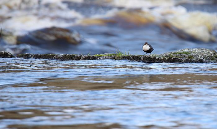 Lauhaa helmikuussa 2020.